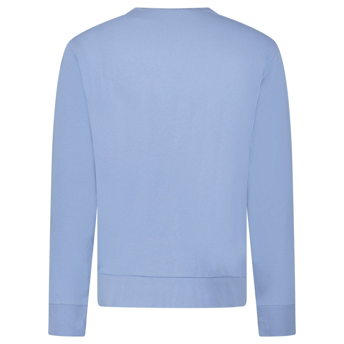 Polo Ralph Lauren Fleece Crew Sweatshirt in Light Blue